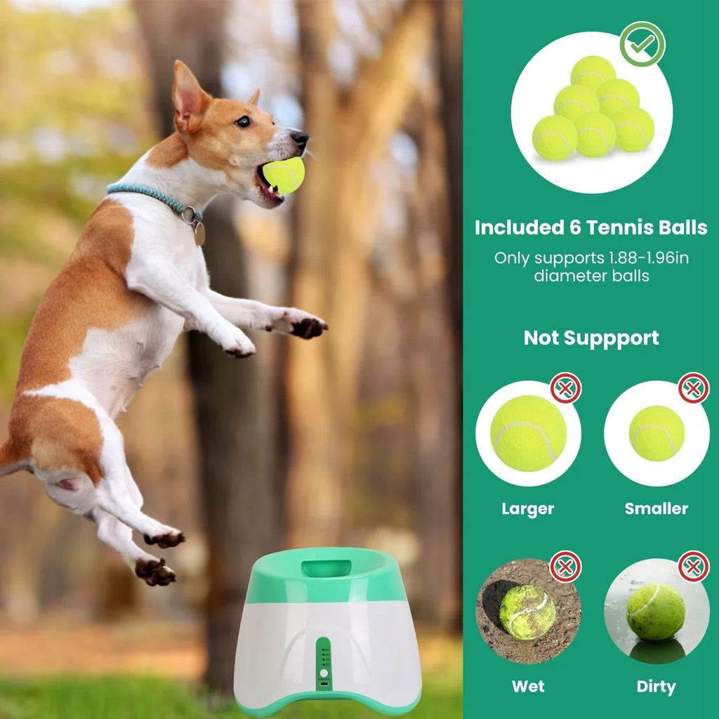 Automatic Dog Ball Launcher + 6 Tennis Balls – Adjustable Thrower for Small & Medium Dogs