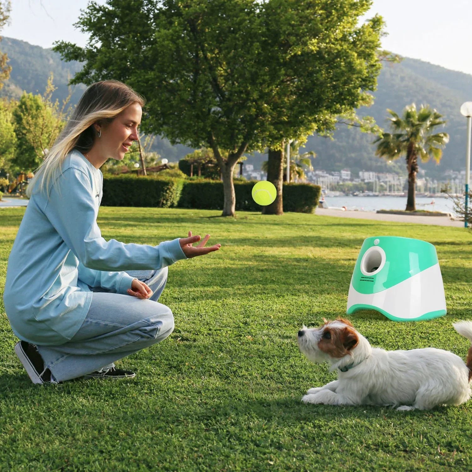 Dog fetch machine throwing tennis ball for active play