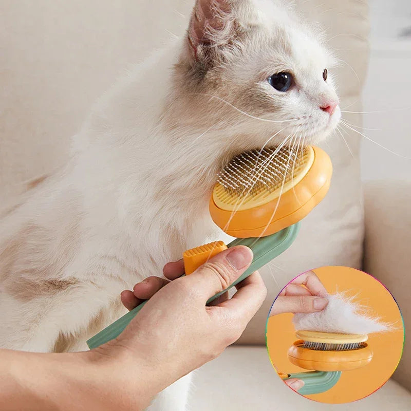 White cat being groomed with deshedding brush removing loose fur