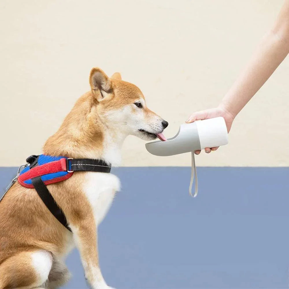 Small white dog drinking from portable pet water bottle with U-shaped trough