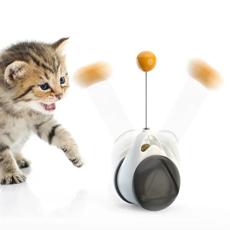 Kitten playing with a pet toy on a white background