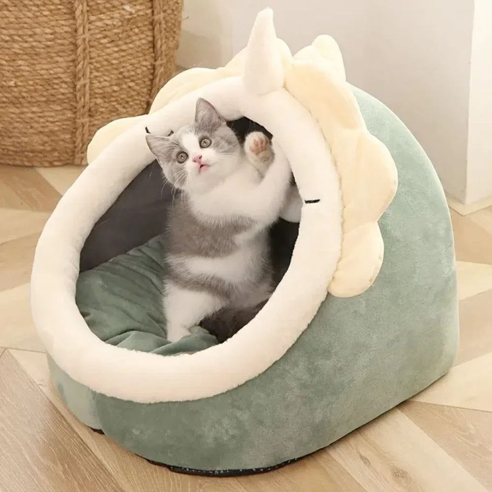 Small cat playing with toy next to dinosaur pet house bed